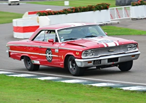 Michael Steele, Tom Kristensen, Ford Galaxie 500