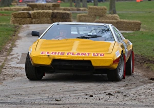 Race Retro 2013 Prints: Terry Maynard, Lotus Esprit, Race Retro 2013